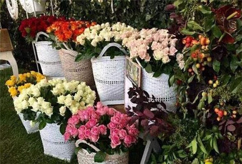 2017年8月俄羅斯花卉展