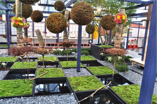 2017年8月俄羅斯花卉展