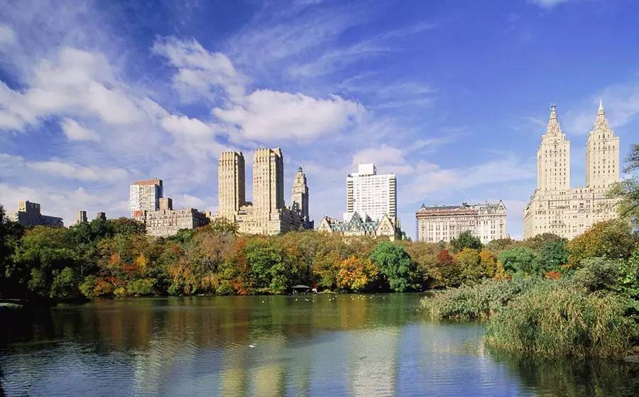 如何在一流的國際大都市中進行綠化規劃？