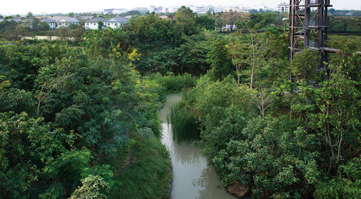 ASLA景觀設計榮譽獎項目——“城市森林”