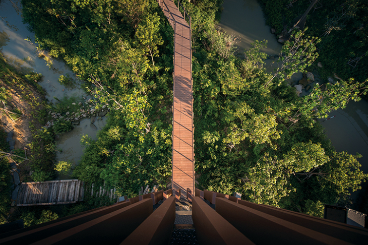 ASLA景觀設計榮譽獎項目——“城市森林”