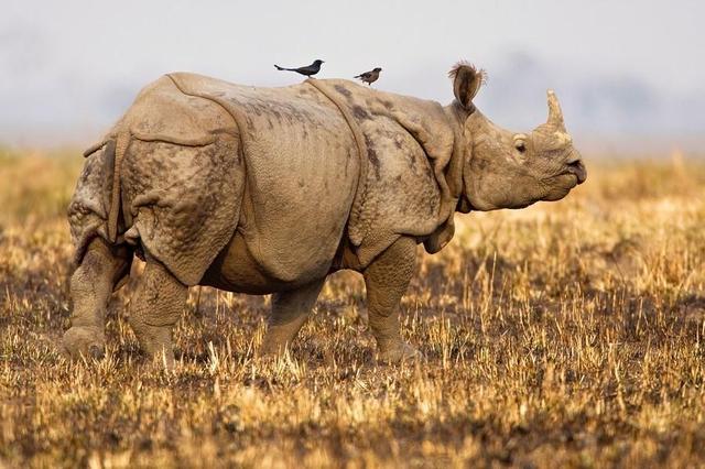 世界各大洲最出名的自然保護(hù)區(qū)