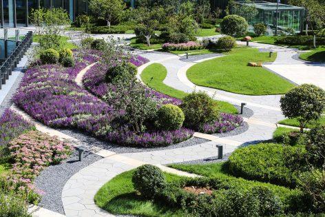 北京泰康商學院中心庭院景觀設計