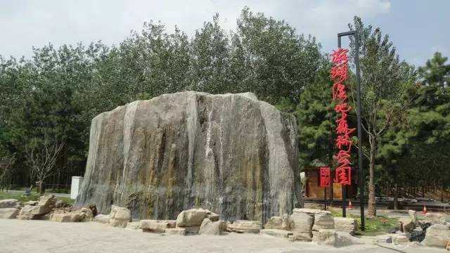 合肥濱湖國家森林公園4A景區對市民開放