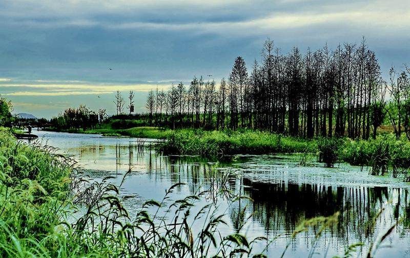 合肥濱湖國家森林公園4A景區對市民開放