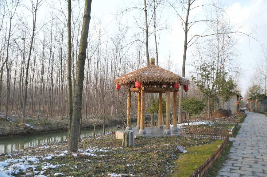 合肥濱湖國家森林公園4A景區對市民開放