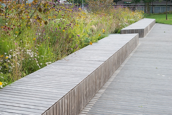 荷蘭Catharina Amalia公園