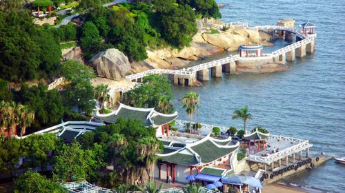 馬未都：我為鼓浪嶼的申遺盡了綿薄之力