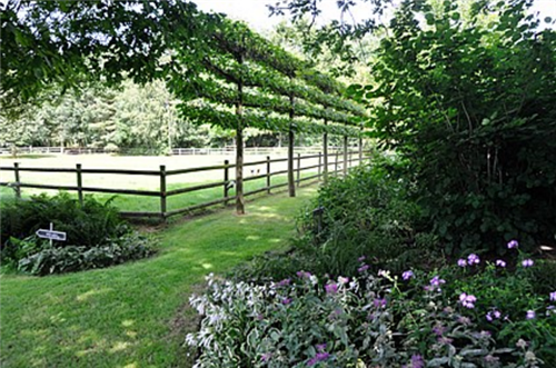 花園中的樹籬——園林中的植物“圍墻”