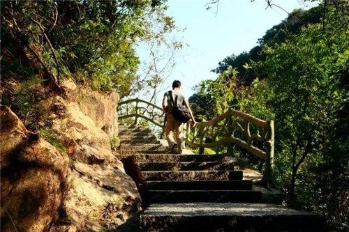 景區棧道多如牛毛,吸引游客才是王道