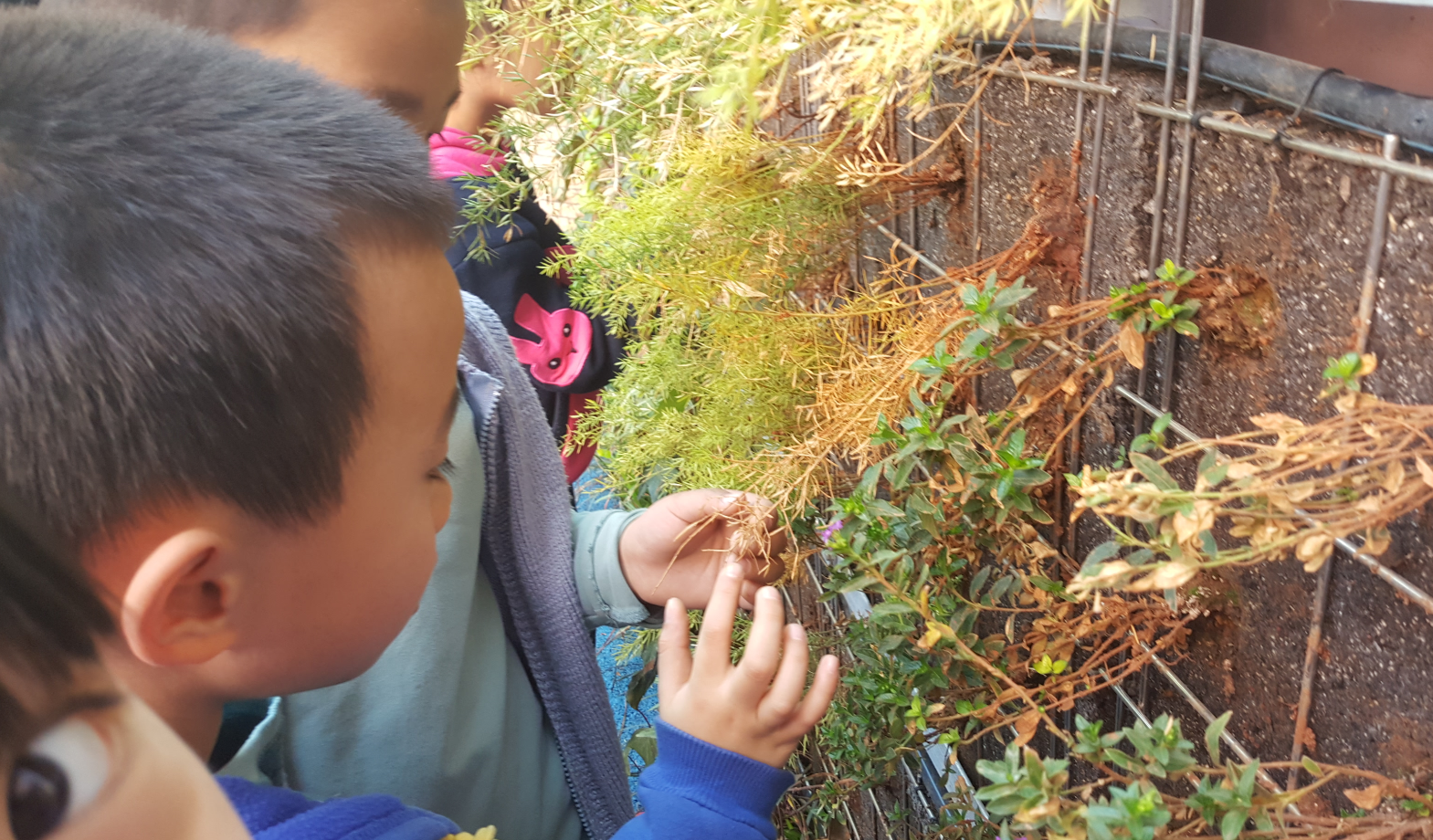 國際優(yōu)秀設(shè)計(jì)師作品交流會(huì)吳昊演講實(shí)錄