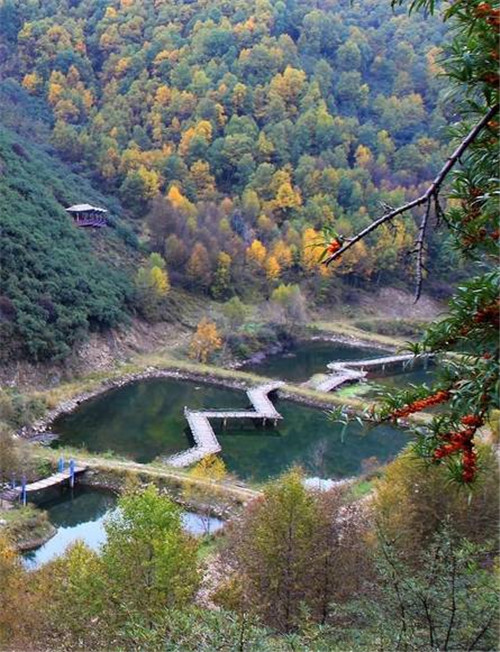 青海最美森林公園