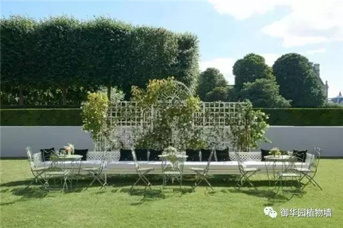 Dior70周年展,植物墻又出風頭了!