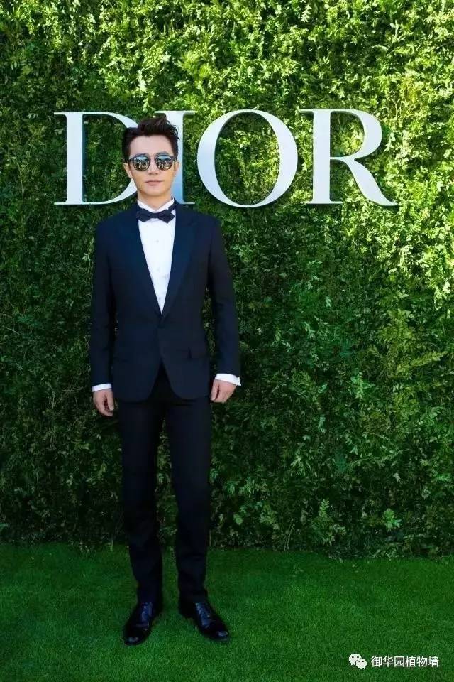 Dior70周年展,植物墻又出風頭了!