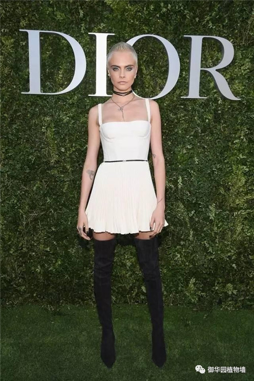 Dior70周年展，植物墻又出風(fēng)頭了！