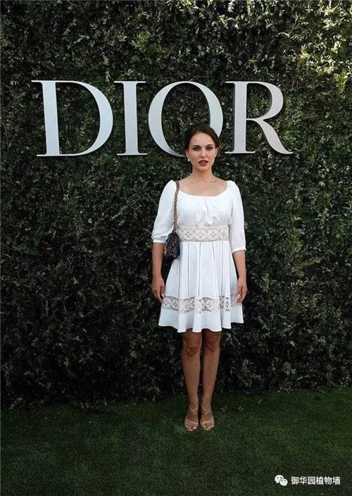 Dior70周年展，植物墻又出風(fēng)頭了！