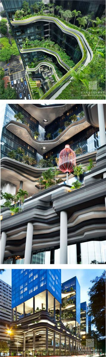 全球經典的立體綠化案例