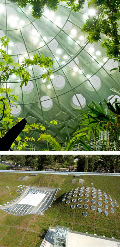 全球經典的立體綠化案例