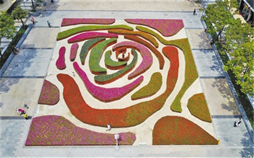 深圳將建成74個花漾街區和128個街心花園