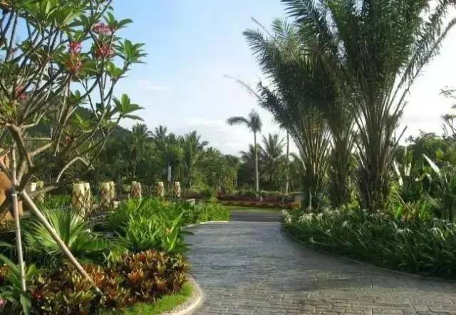 2017年南北苗木的發(fā)展趨勢又將是怎樣的?