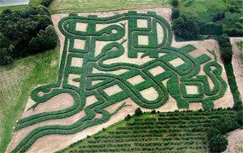 迷宮制造者腦子里在想什么？