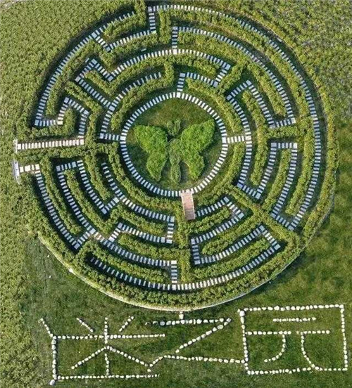 迷宮制造者腦子里在想什么？