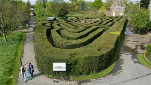 迷宮制造者腦子里在想什么？