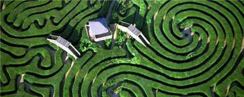 迷宮制造者腦子里在想什么?