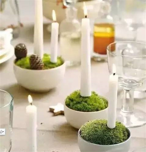 放上這些綠植，讓整個家清新又活力