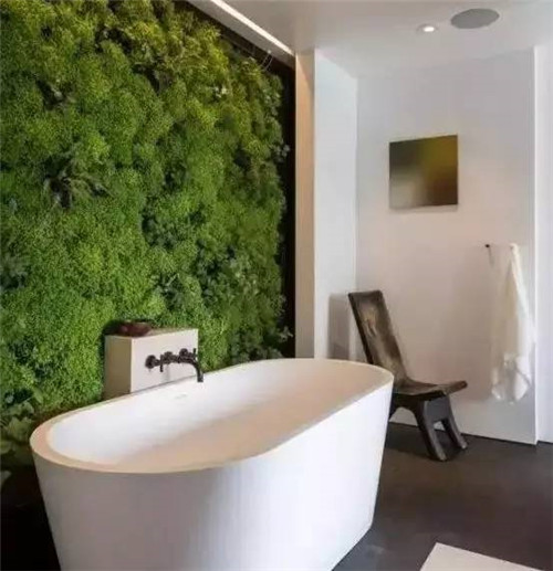 放上這些綠植，讓整個家清新又活力