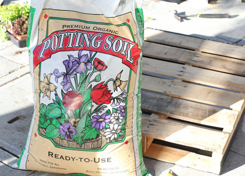 你也可以自己動手打造一個(gè)微型垂直花園