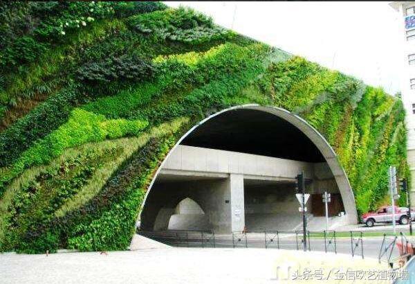 為什么要大力推行城市建設(shè)立體綠化