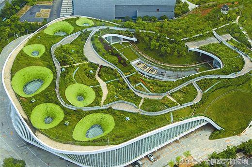 為什么要大力推行城市建設(shè)立體綠化