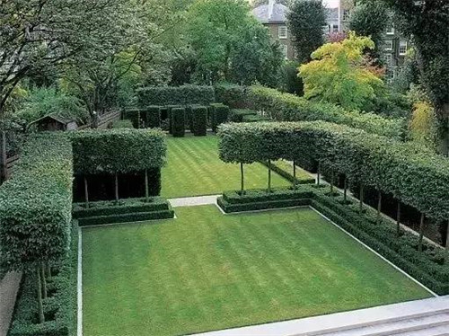 出乎意料的植物景觀