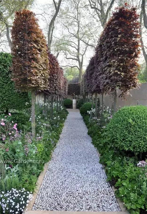 出乎意料的植物景觀