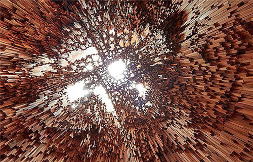 已滅絕或瀕臨沒絕的樹木樣本的裝置藝術