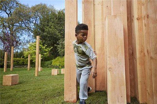 已滅絕或瀕臨沒絕的樹木樣本的裝置藝術