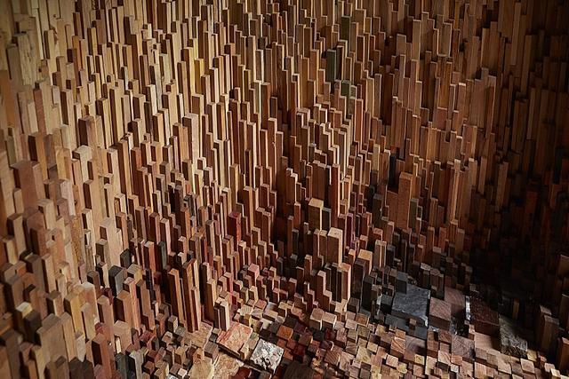 已滅絕或瀕臨沒絕的樹木樣本的裝置藝術