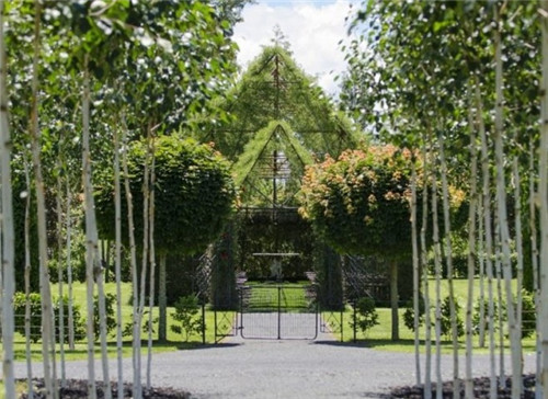 令人吃驚的植物景觀：一棟用樹種出的房子