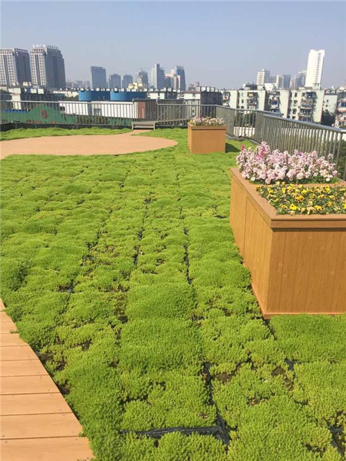 寧波為公建綠化出臺(tái)新政 新建筑綠化是標(biāo)配