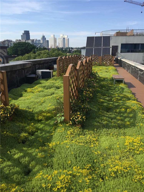 寧波為公建綠化出臺(tái)新政 新建筑綠化是標(biāo)配