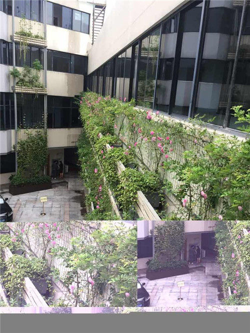 寧波為公建綠化出臺(tái)新政 新建筑綠化是標(biāo)配