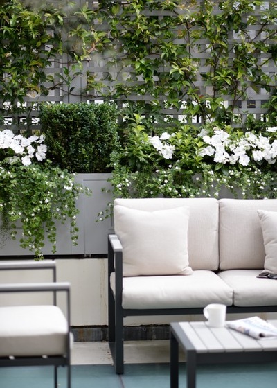 利用格子架打造完美花園的八個妙招