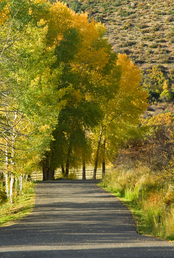 美國科羅拉多州紅峰牧場(chǎng)