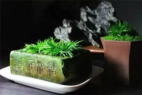 這七種植物 讓你的書房更有味道