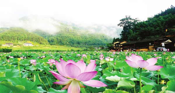 景區(qū)集中整治 扮靚“清新福建”