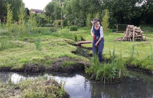 英國78歲老太7年將廢棄沼地改成“仙境”