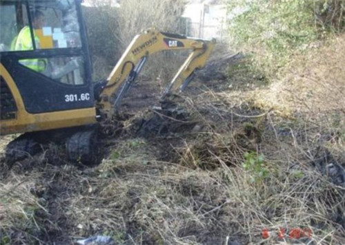 英國78歲老太7年將廢棄沼地改成“仙境”