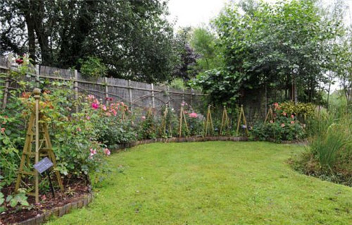 英國78歲老太7年將廢棄沼地改成“仙境”