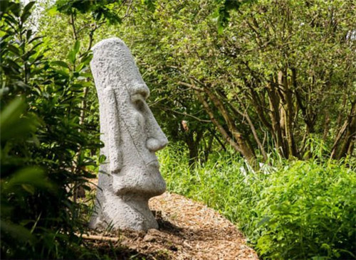 英國78歲老太7年將廢棄沼地改成“仙境”